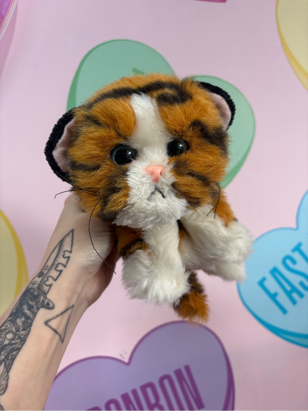 RARE vintage kitty kitty kitten